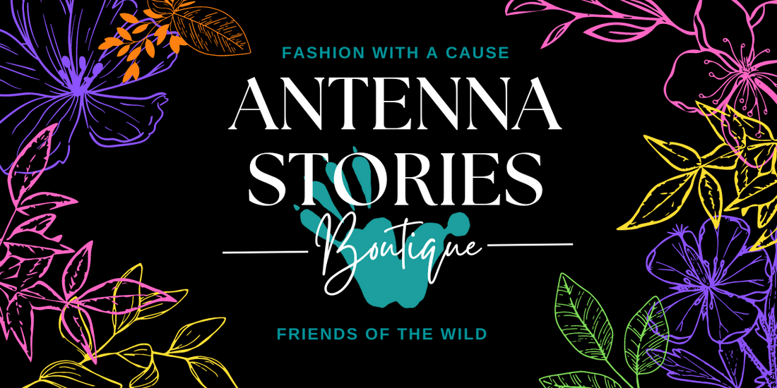 Welcome To Antenna Stories Boutique